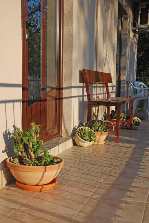 Apartments Iva Tivat Rum bild