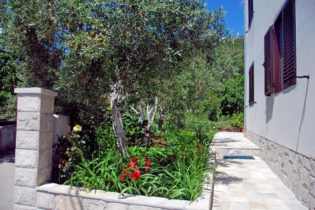 Apartments Iva Tivat Rum bild
